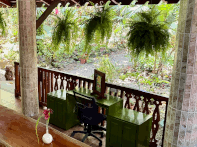 balcony nature view