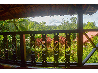 balcony nature view